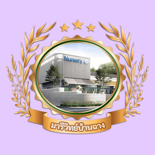 มารีวิทย์บ้านฉาง